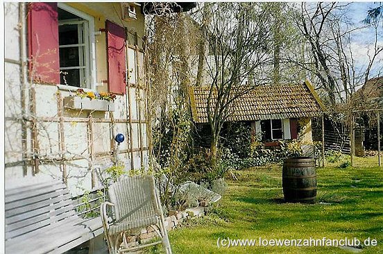 Das Pusteblumehaus Heute