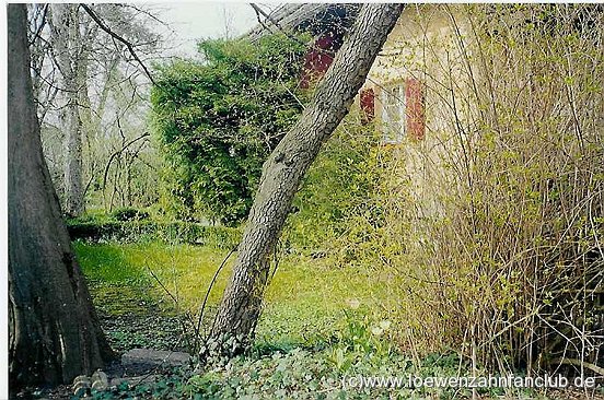 Das Pusteblumehaus Heute
